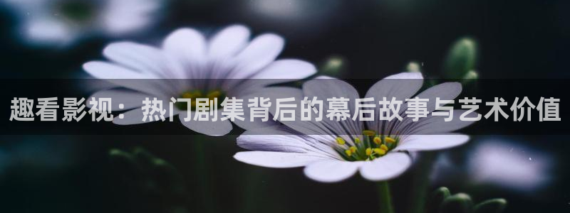 99视频在线观看